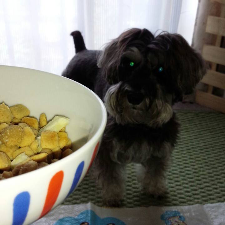 Fa2d33c7 dd16 42d8 bc16 1d9c98b351ac