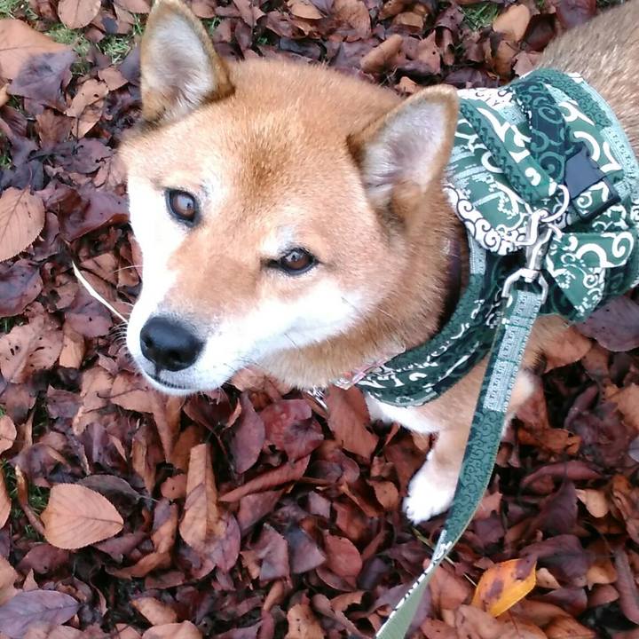 Fa2d7ea1 a67f 428f b202 386fdaa03b71