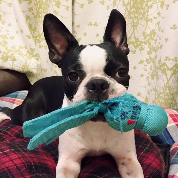 Fa2d955c 56d5 4867 9f02 7a19f75e33fe