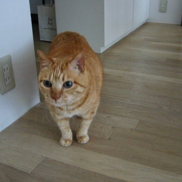 Fa2d9681 fee7 4ae4 9beb 291424f0964e