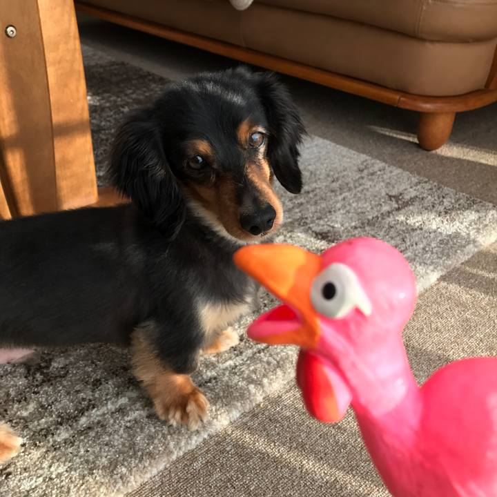 Fa2e3099 6edb 4e5a 976f 0126bacd91a8