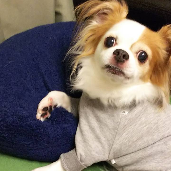 Fa2e6773 c9a1 4d90 bdcb 426e013cdd53