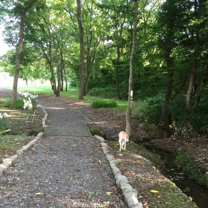 Fa2eac16 f42f 4353 938e d9ddc40cd020