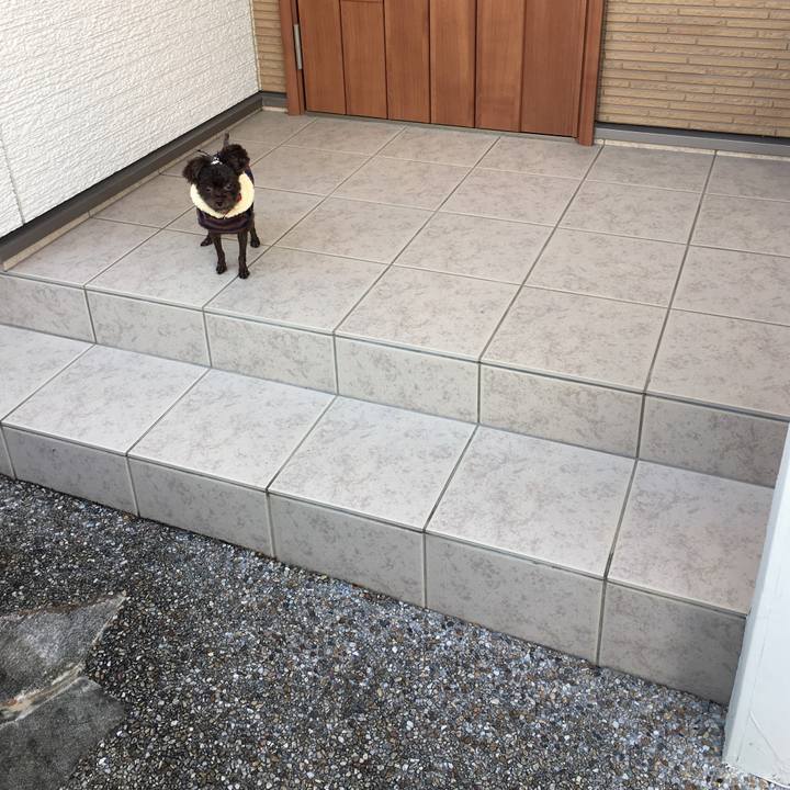 Fa2f546d 36ba 49b2 8398 1f97d59fa3bf