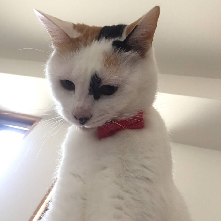 Fa2f6200 9344 4edc 9873 49483b924707