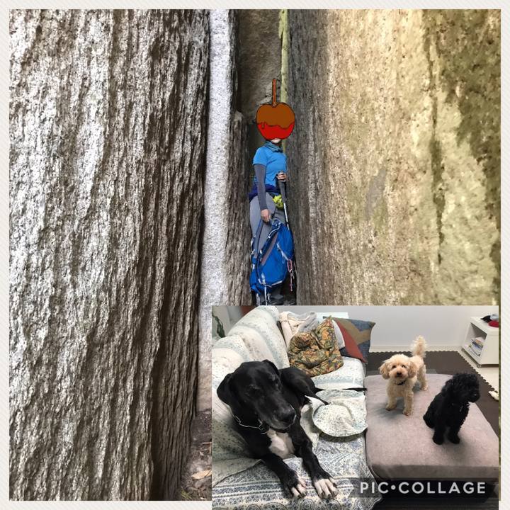 Fa2fba0f 5a14 46fe 9530 b6b4a752999c