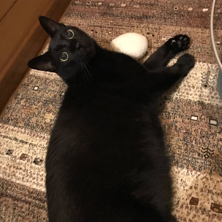 Fa30acbf 6831 41bd b495 43fbb9117239