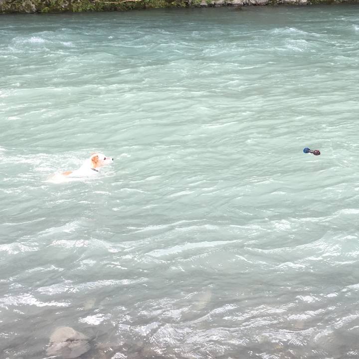 Fa31013d 939b 492a 8b8e 78bd4ceb8377