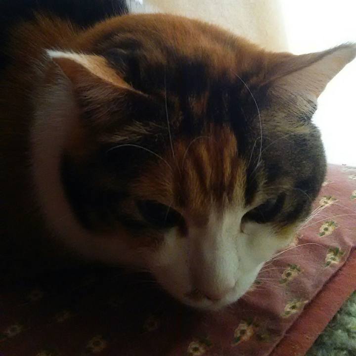 Fa313459 1506 4db5 91f3 9a7f70cb842e