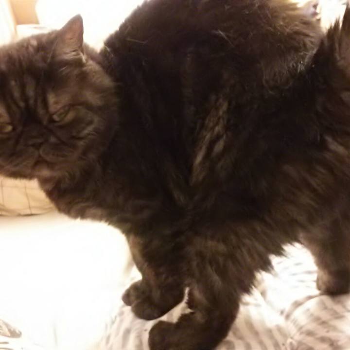 Fa321a31 23db 4341 9368 951fa4383909