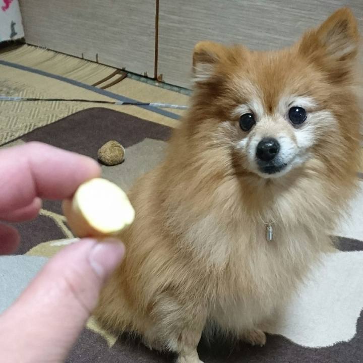 Fa322ae4 6942 4d27 aa22 5ce9d5fd2232