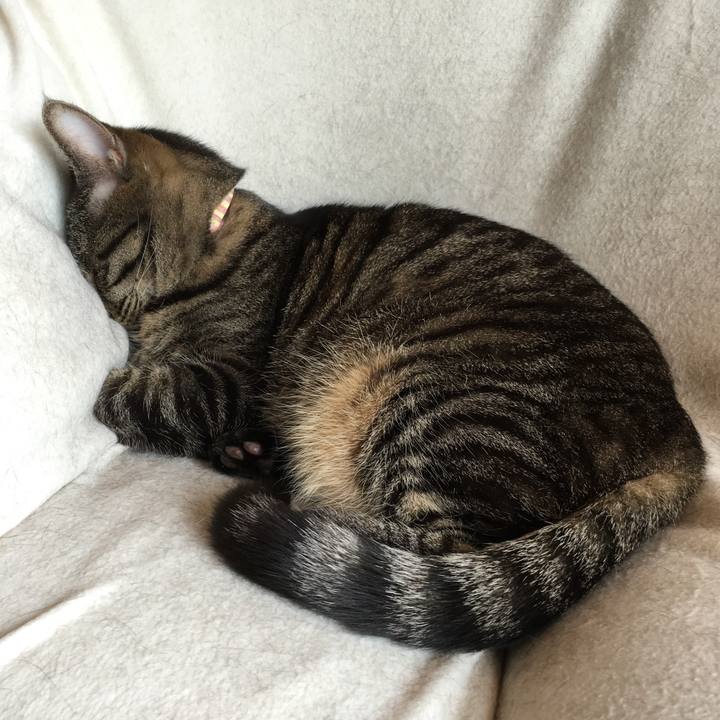 Fa324df1 3560 41f1 aa40 da0e247f1700