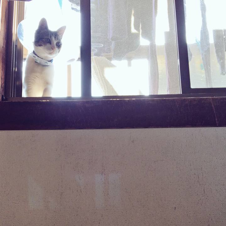 Fa3311da a3f1 4cf4 bafe 304f43f73e75