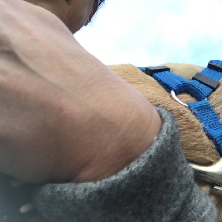 Fa33ea1c a296 4ffb bcf4 2bc7ab78f870