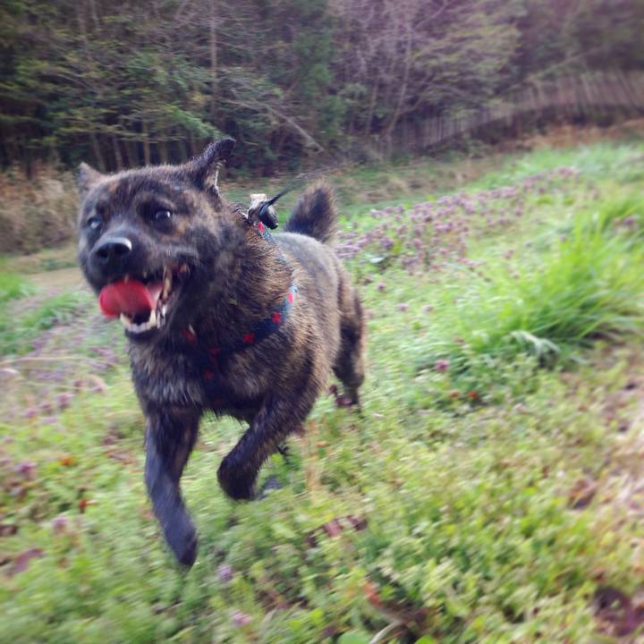 Fa342104 76d3 42e3 89ed 397a46938b92