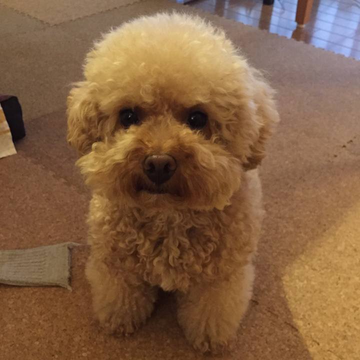 Fa344f84 7431 4a5c ab0f d366780a8a62