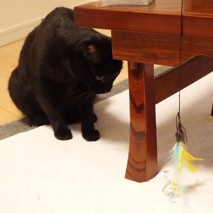 Fa3477f9 5252 47d1 be08 4cb503b68fb6