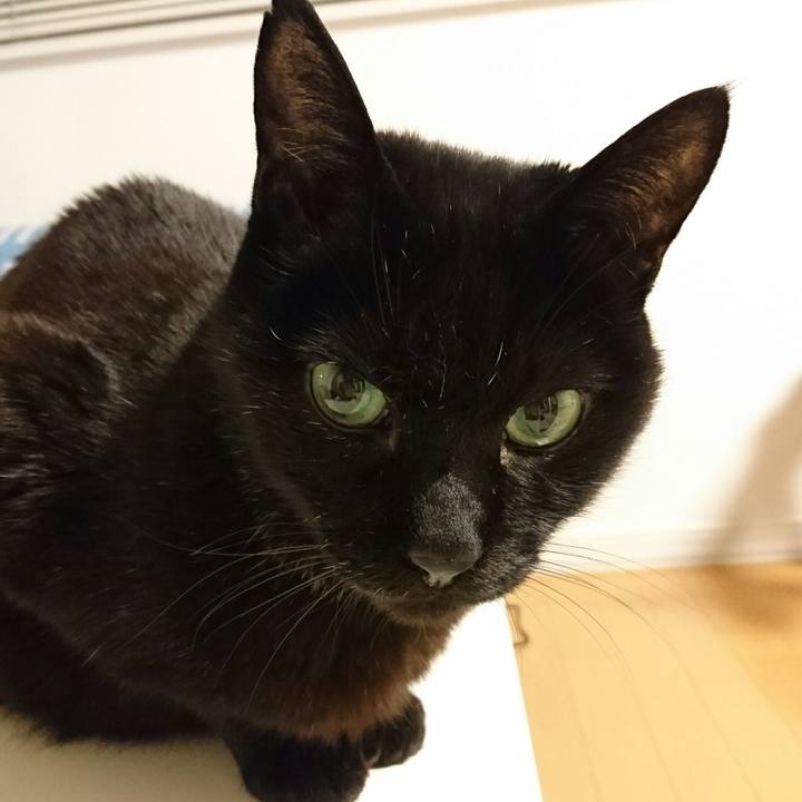 Fa34dae7 0722 4b75 9929 935febcf472d