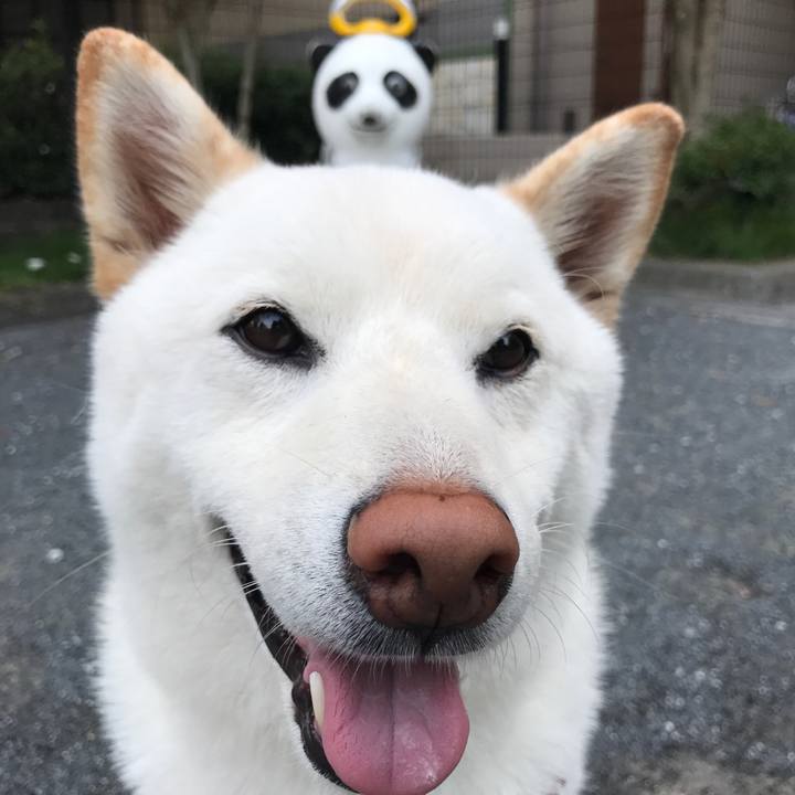 Fa34e237 9c36 46ad aae7 cfcd47399ee3