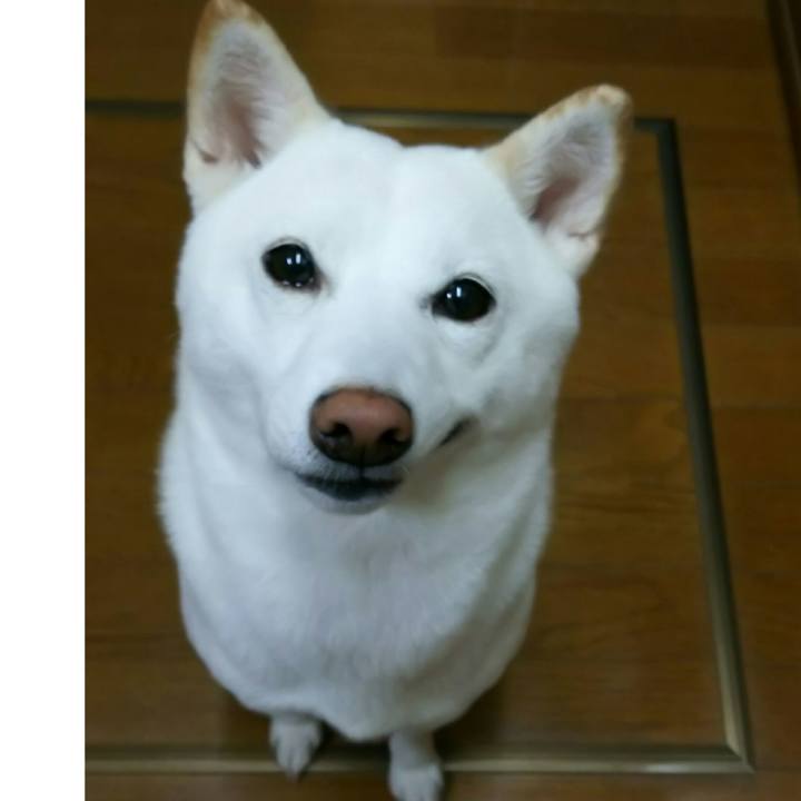 Fa34f7f3 2503 4998 9be8 47483e9eaf2f