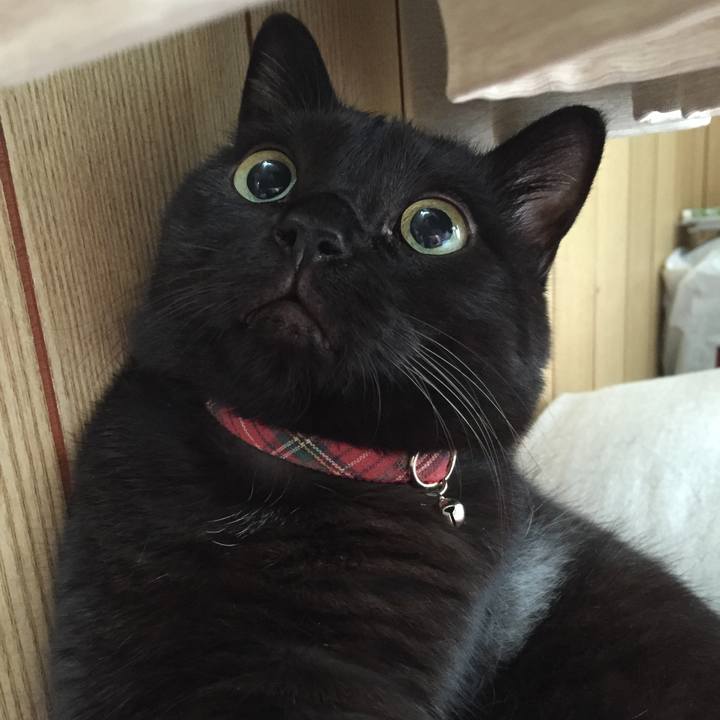 Fa3583bf 2578 48e8 9958 5d17e1e3d028