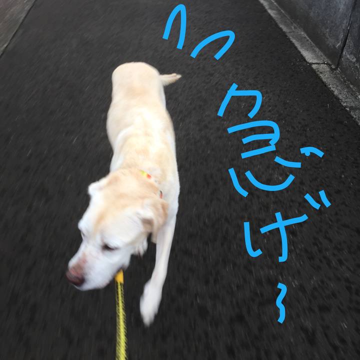 Fa35c642 9fdd 40b4 914d 3cc46f892477