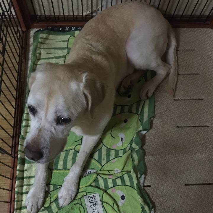 Fa361d33 e986 4164 8939 b104f7f69ee9