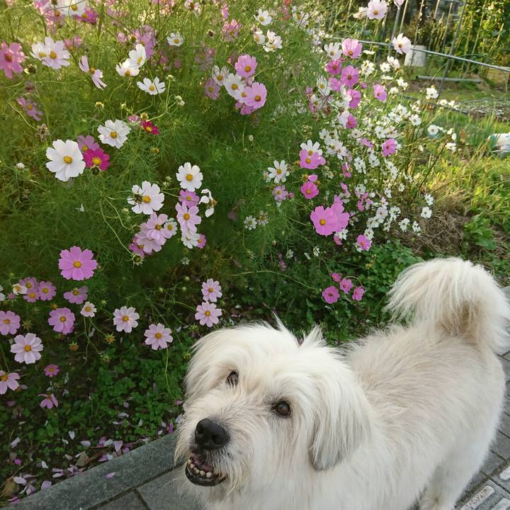 Fa36688b 5b45 4080 a254 832c72bd5a89