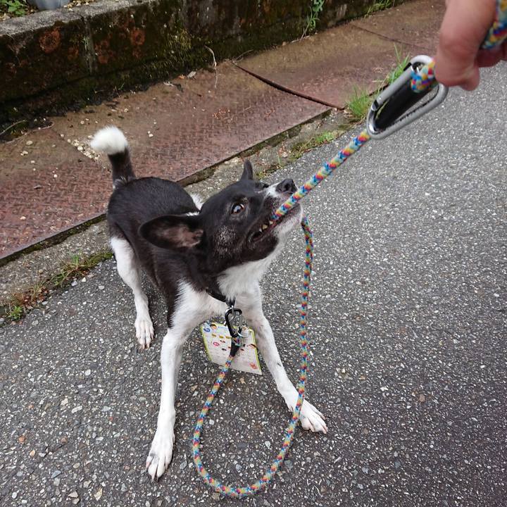 Fa375b69 3f20 4544 b219 a2ffe186dcff