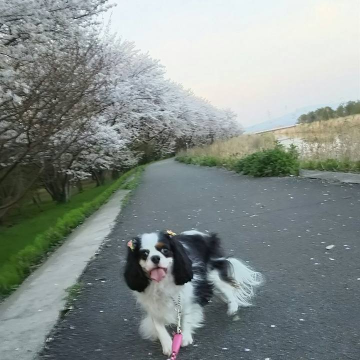 Fa37ca63 c8ff 412a 9d59 ca589f197a3c