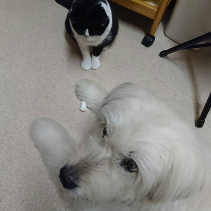 Fa38cbfd 81cc 40b5 8a9a 88908b3a08d0