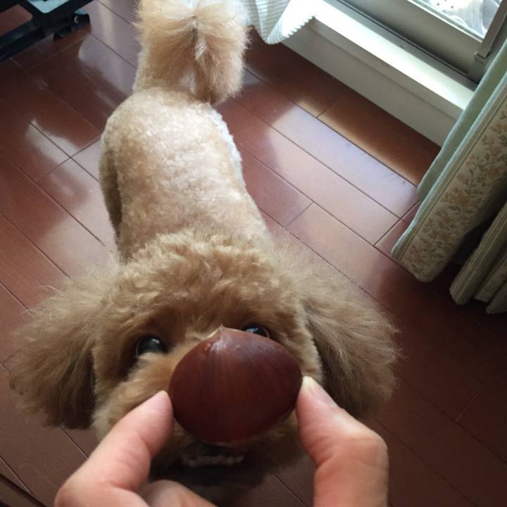 Fa38f14a eacd 4901 8cdd e5bd458cdb80