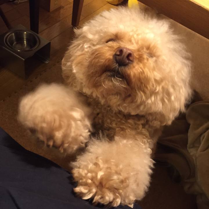 Fa38f4b9 9983 4908 a440 9a24ec969145