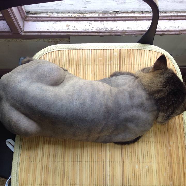 Fa3922ee 46a0 421a a246 788b8ccf4155