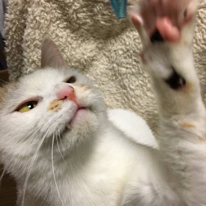 Fa398d4a b493 4f91 a967 9dc79344e7e7