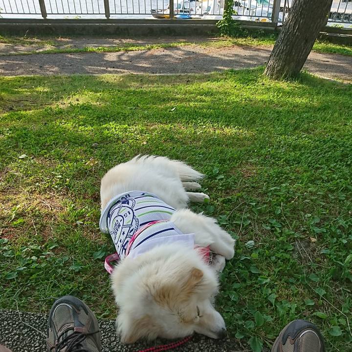 Fa39f74b ba33 4383 a7e7 cb72ef403aca