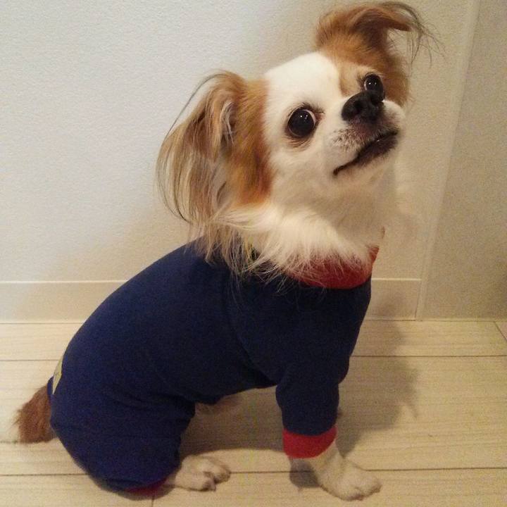 Fa3a1f7f b96c 4c1f a99a 4faf48946da9