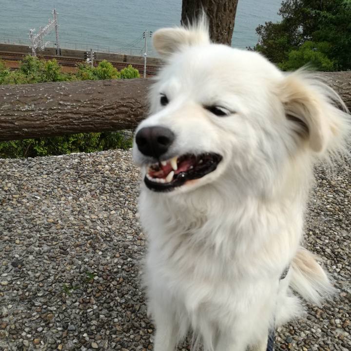 Fa3a5e03 6e56 4e7f a877 1aee62b96b73