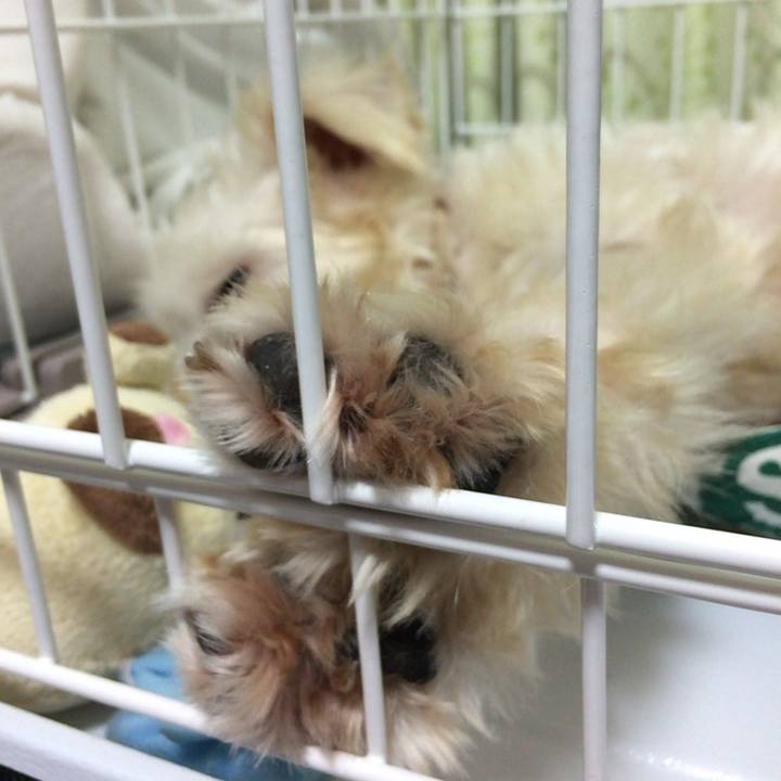 Fa3a8cea 8094 485c b594 900828112d09