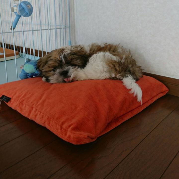 Fa3ac81b e101 4590 b1e7 afa299f3b77f