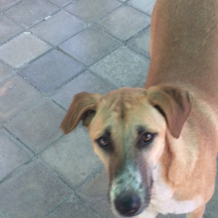 Fa3bb1d4 2b57 41ec 9741 8ad61b332089