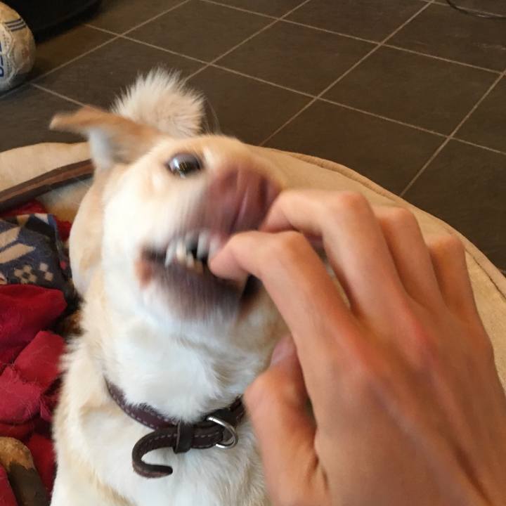 Fa3c5620 0831 43d7 a3d0 5ae5c8f2d240