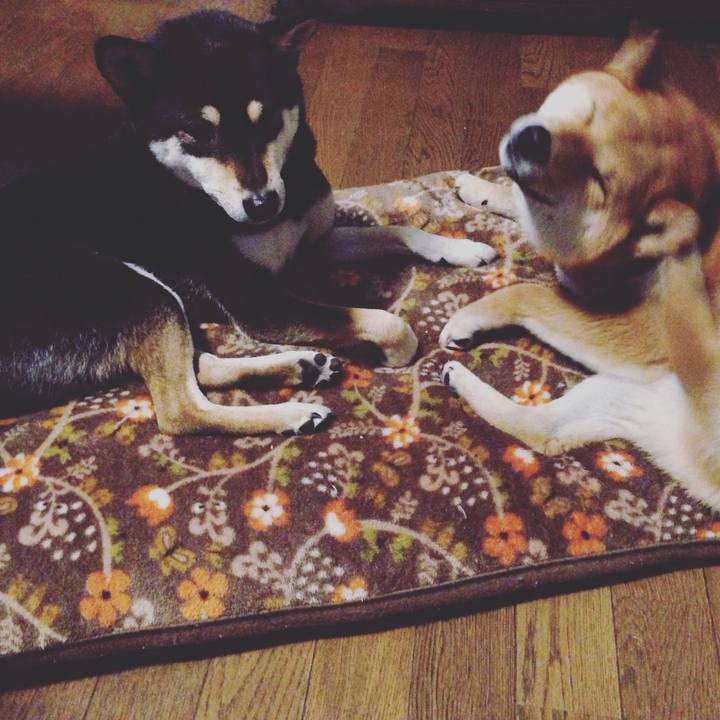 Fa3c70e0 1f52 4b67 8c01 ece6eff78a4c