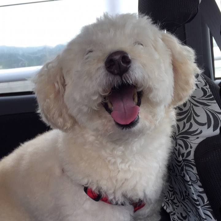 Fa3cc38b f113 4865 9440 7553a225e170