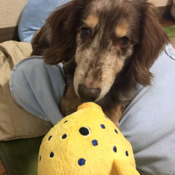 Fa3d73af 1026 463d bef2 e4e1200d5ae1