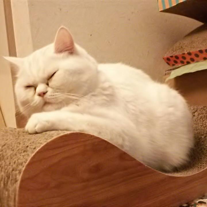 Fa3f3360 5fc7 446b a215 bdb2bba85586