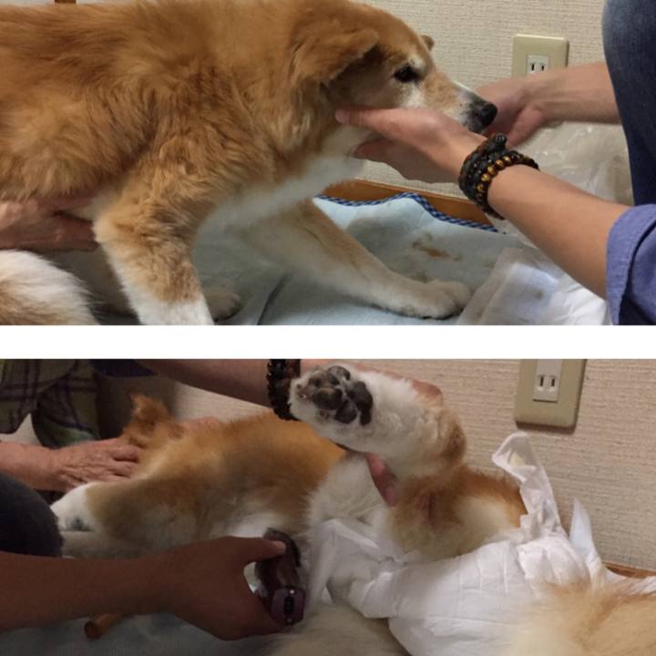 Fa3f3a31 3c0d 4da6 ab59 cdc1b7c4f186