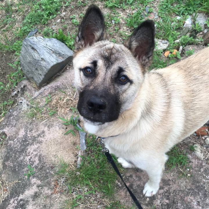 Fa3f42fa 66e4 47f9 8944 8c3c1bb43e32