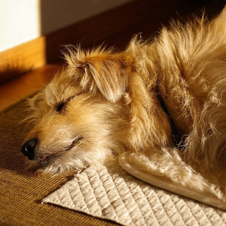 Fa3fc0bb 80be 48f2 aa40 4bcf4cdc1317