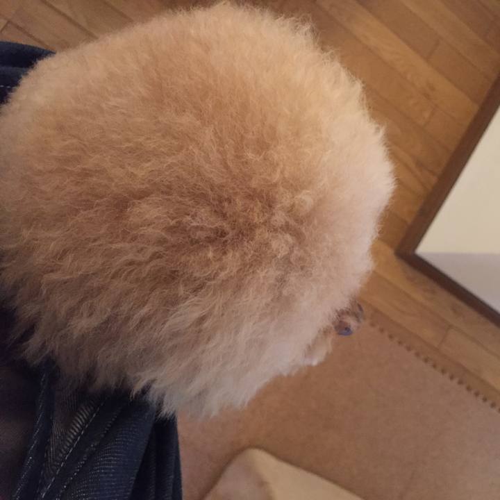 Fa3ff667 f7d8 4e28 91c1 a46c73c3d911